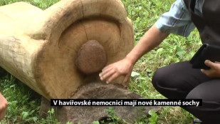 V havířovské nemocnici využívají k terapiím sochy