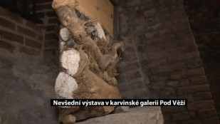 Nevšední výstava v karvinské galerii Pod Věží