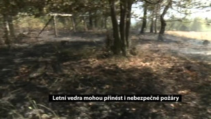 Letní vedra mohou přinést i nebezpečné požáry