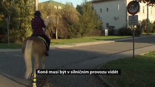 Koně musí být v silničním provozu vidět