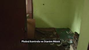 Plošná kontrola v Karviné-Starém Městě