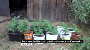 Policie objevila další pěstírnu konopí na Karvinsku