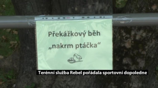 Terénní služba Rebel pořádala sportovní dopoledne