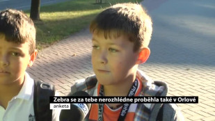 Zebra se za tebe nerozhlédne proběhla také v Orlové