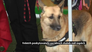 Veletrh poskytovatelů sociálních služeb sklidil úspěch