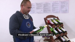 Vinobraní v karvinském Obecním domě Družba