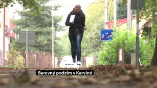 Barevný podzim 2013 v Karviné