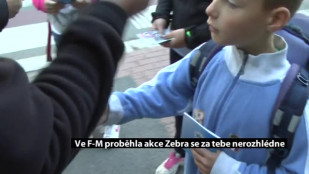 Ve F-M proběhla akce Zebra se za tebe nerozhlédne