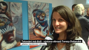 Tetování má duši - výstava obrazů Terezy Dolanské