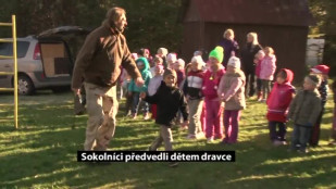 Sokolníci předvedli karvinským dětem dravce