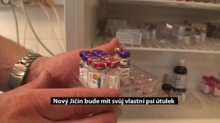 Nový Jičín bude mít svůj vlastní psí útulek