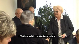 Pěstitelé květin zkrášlují celé město