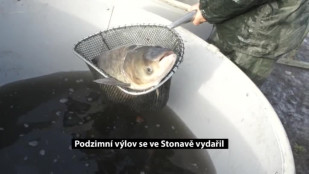 Podzimní výlov ve Stonavě se vydařil