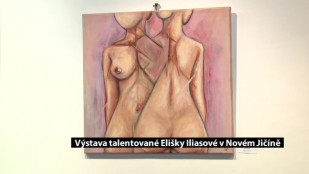 Výstava talentované Elišky Iliasové v Novém Jičíně