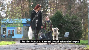 Šestiletý Ondra z Karviné dostal asistenčního psa