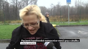 Pacienti psychiatrického oddělení chodí venčit psy do útulku