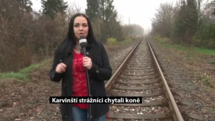 Karvinští strážníci chytali koně