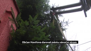 Havířovu daroval jeden z vánočních stromů občan