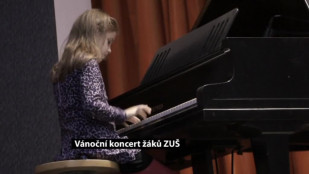 Vánoční koncert žáků ZUŠ v domě PZKO