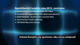 Anketa Novojičínský sportovec roku očima veřejnosti