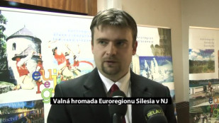 Valná hromada Euroregionu Silesia v Novém Jičíně