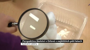 Perspektiva školství v Orlové v nejbližších pěti letech