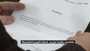 Manželé si koupili v Havířově štěně, které po chvíli zemřelo