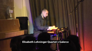 Elisabeth Lohninger Quartet vystoupil v novojičínské Galerce