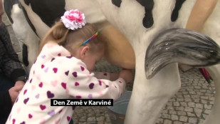 Den Země 2014 v Karviné