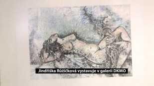 Jindřiška Růžičková vystavuje v galerii DKMO