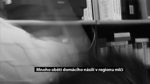 Počet případů domácího násilí v regionu přibývá