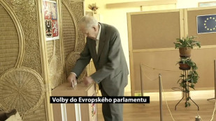 Volby do Evropského parlamentu