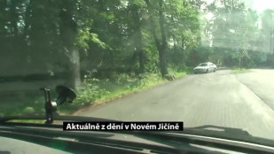 Aktuálně z dění v Novém Jičíně 6. 5. 2014