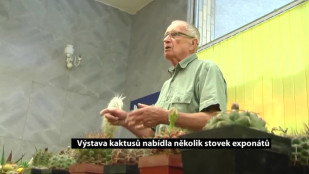 Výstava kaktusů nabídla několik stovek exponátů