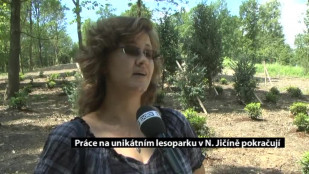 Práce na unikátním lesoparku v Novém Jičíně pokračují