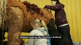 Zdobení vozů na akci Havířov v květech