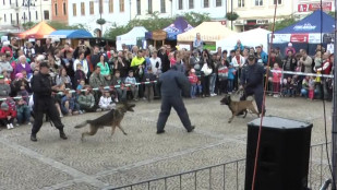 Dny města Bruntálu pobavily všechny generace