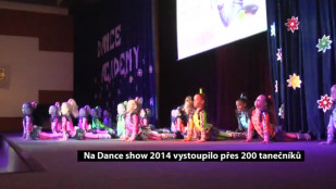 Na Dance show 2014 vystoupilo přes 200 tanečníků