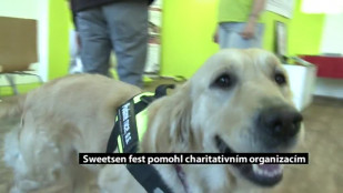 Sweetsen fest pomohl charitativním organizacím