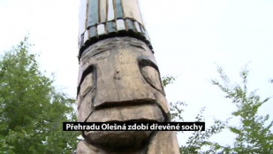 Přehradu Olešná zdobí dřevěné sochy