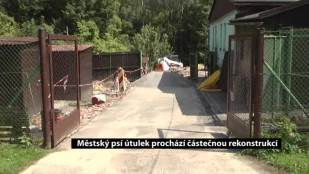 Městský psí útulek prochází částečnou rekonstrukcí