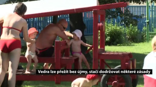 Vedra lze přežít bez újmy, stačí dodržovat některé zásady