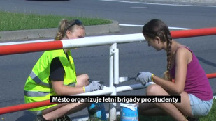 Město organizuje letní brigády pro studenty