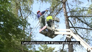 Letní ořezy stromů ve Frýdku-Místku jsou v plném proudu