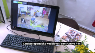 Ve F-M vzniklo canisterapeuticko-vzdělávací centrum