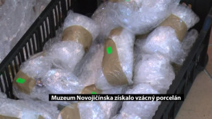 Muzeum Novojičínska získalo vzácný porcelánový dar