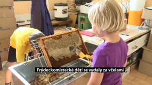 Frýdeckomístecké děti se vydaly za včelami