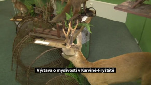 Výstava o myslivosti ve Výstavní síni Muzea Těšínska v Karviné