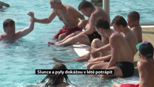 Slunce a pyly dokážou v létě potrápit hodně lidí