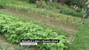 Aktuálně z dění v Novém Jičíně 15. 8. 2014